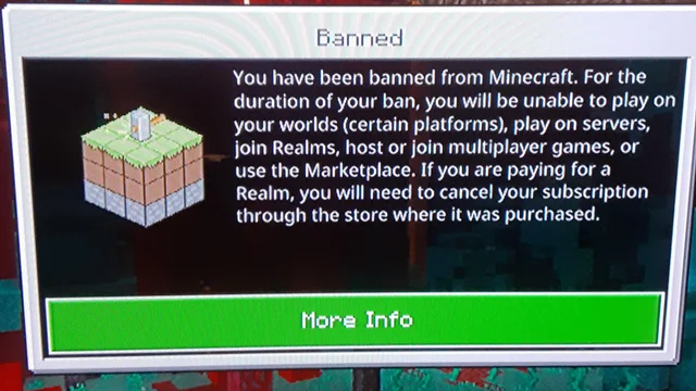 Image courtesy of u/square_potatoes on Reddit.